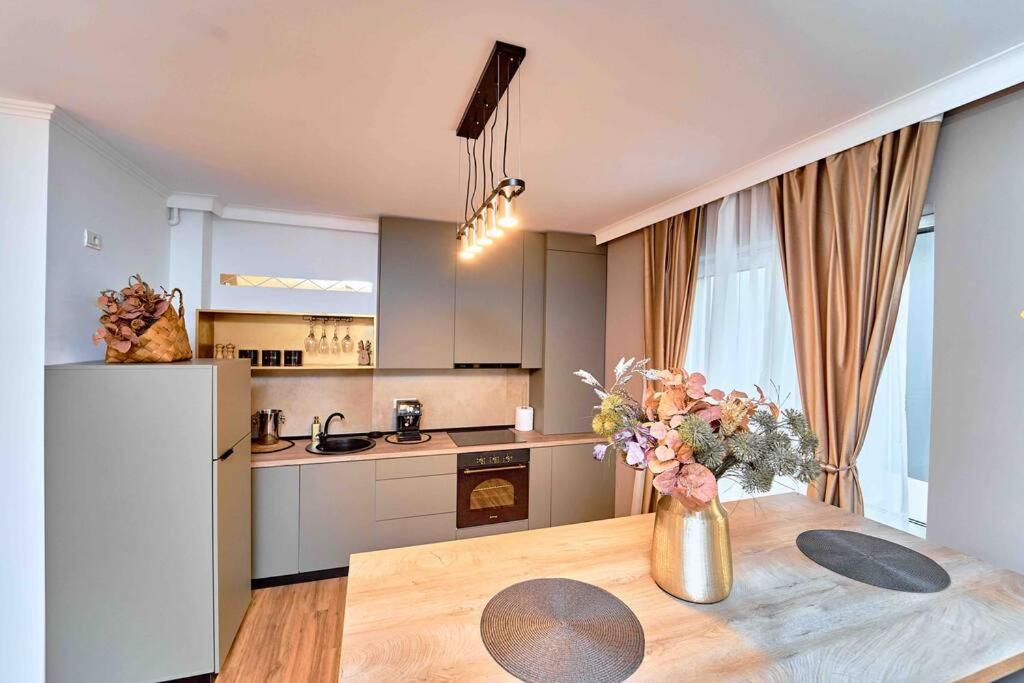Luxury Vibes Near Iulius Mall *